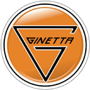Ginetta GT4 LHD Badge